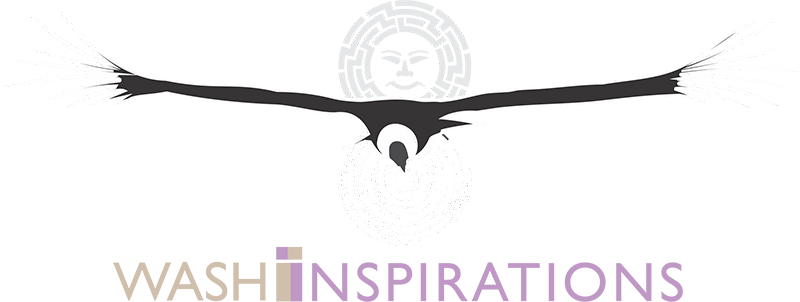Washinspiration logo de cabecera